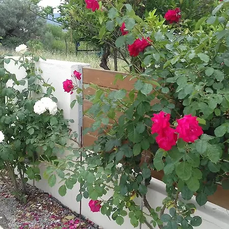 Christina 2* Lygia (Lefkada)